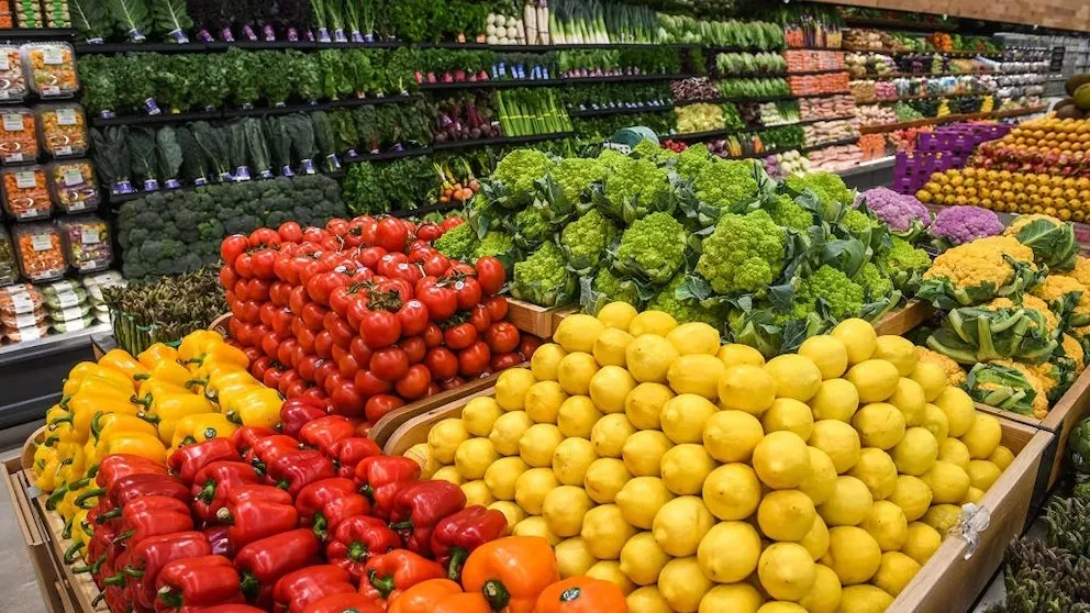 Pakar Sarankan Diet Nabati untuk Kesehatan dan Keberlanjutan Lingkungan
