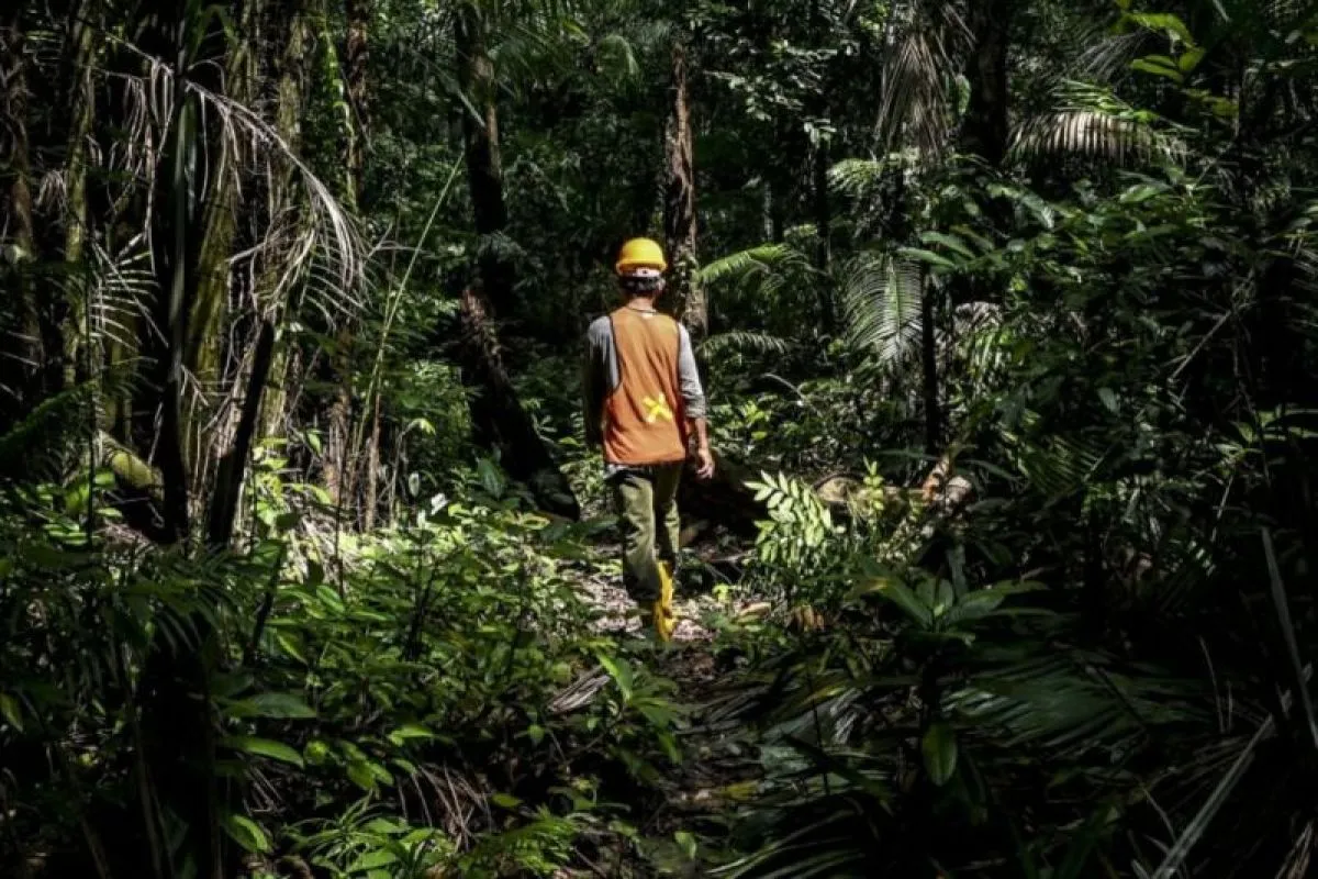 Perhutanan Sosial: Meningkatkan Kesejahteraan dan Kelestarian Hutan di Indonesia