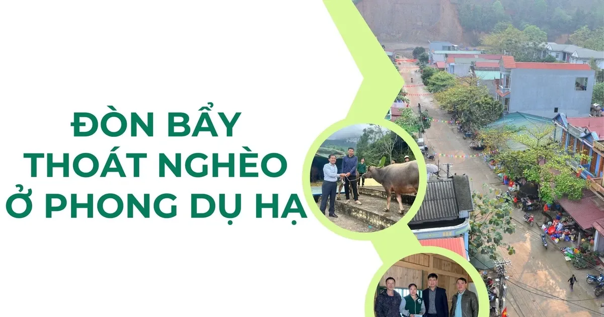 Pengentasan Kemiskinan di Phong Du Ha Melalui Program Dukungan Sosial