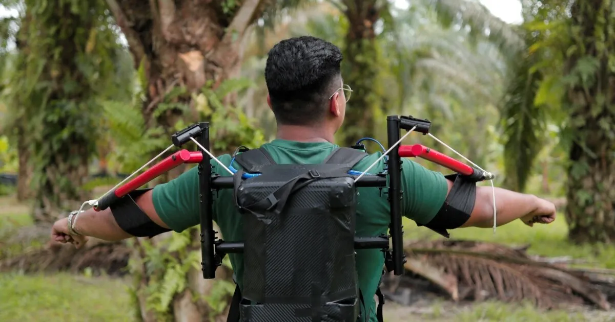 Malaysia Uji Coba Exoskeleton Terer untuk Ringankan Kerja Pemanen Sawit