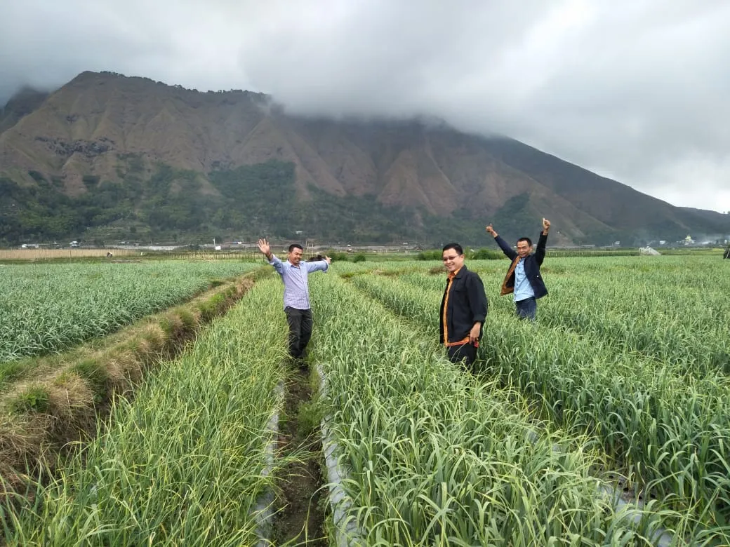 Sembalun di Kaki Rinjani Disiapkan Jadi Sentra dan Penyangga Benih Bawang Putih Nasional