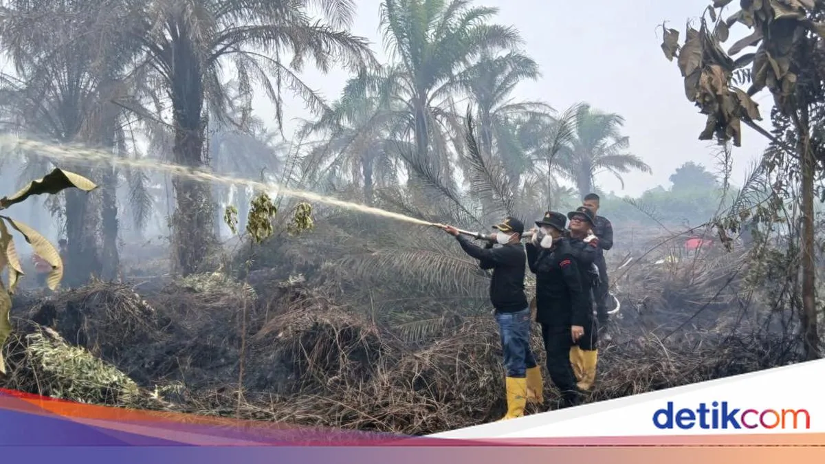Karhutla di Riau Terus Meluas, Ini 8 Fakta Terkini