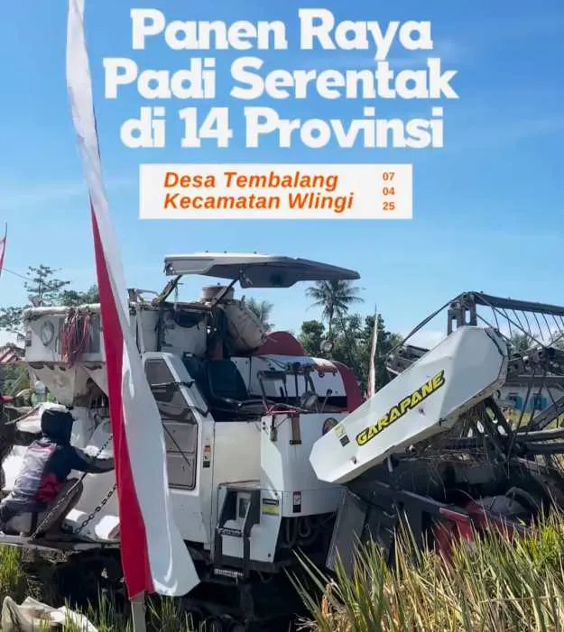 Kabupaten Blitar Ikuti Panen Raya Serentak, Target Produksi Padi Meningkat Drastis
