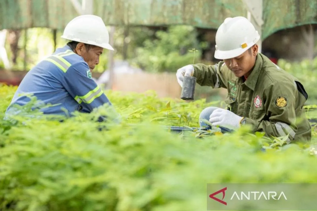 PT ABMM Raih Penghargaan atas Komitmen Tata Kelola Lingkungan dan Sosial