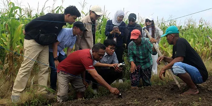 KPw BI Malang Perkenalkan Digital Farming kepada Petani Bawang Merah di Probolinggo