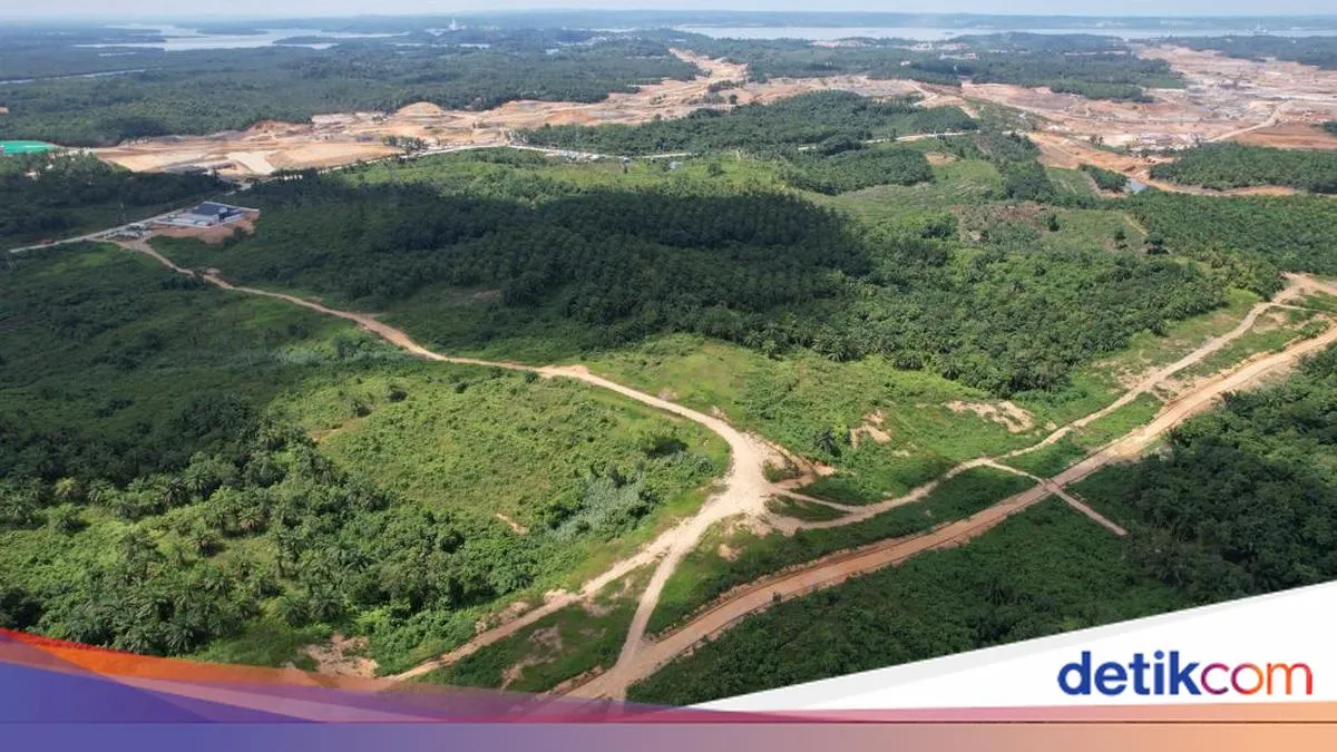 Pemerintah Atur Penertiban Tanah Telantar untuk Pemanfaatan Negara