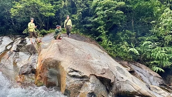 Taman Nasional Bach Ma: Upaya Melindungi Spesies Langka dan Keberlanjutan Hutan