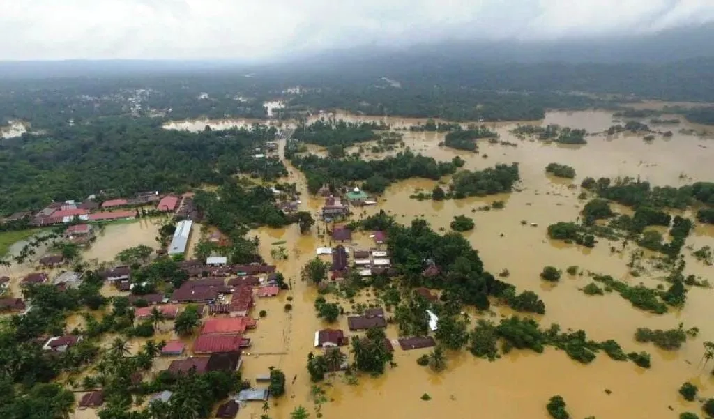 Data BNPB 2025: Sentra Sawit Justru Alami Minim Banjir