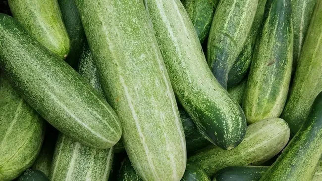 Harga Mentimun Melonjak, Jadi Simbol Krisis Ekonomi di Rusia