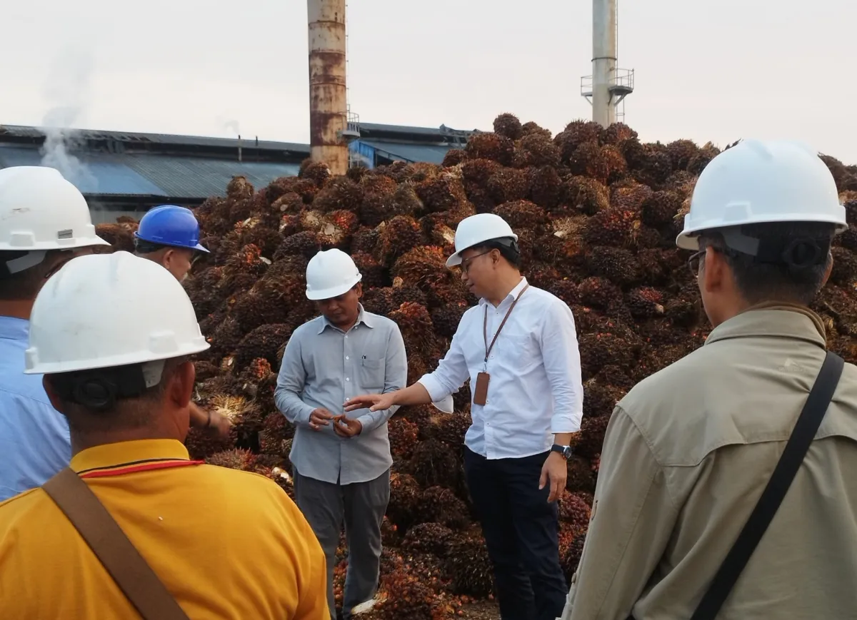 Dinas Perkebunan Kalbar Laksanakan Uji Petik Kontribusi Perusahaan Sawit