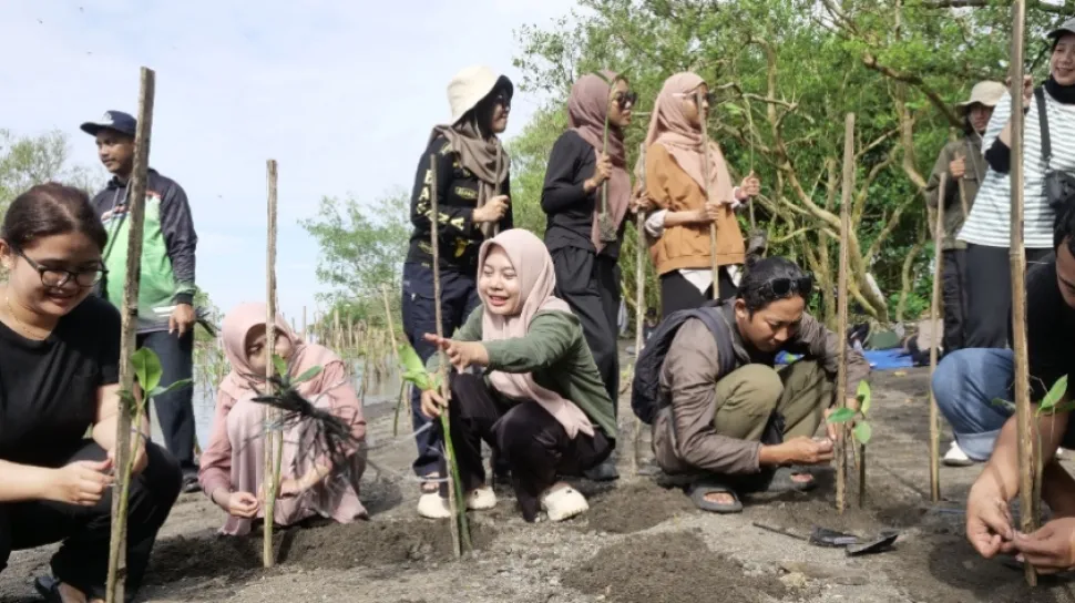 Aksi Tanam Mangrove di Pantai Baros untuk Melawan Abrasi