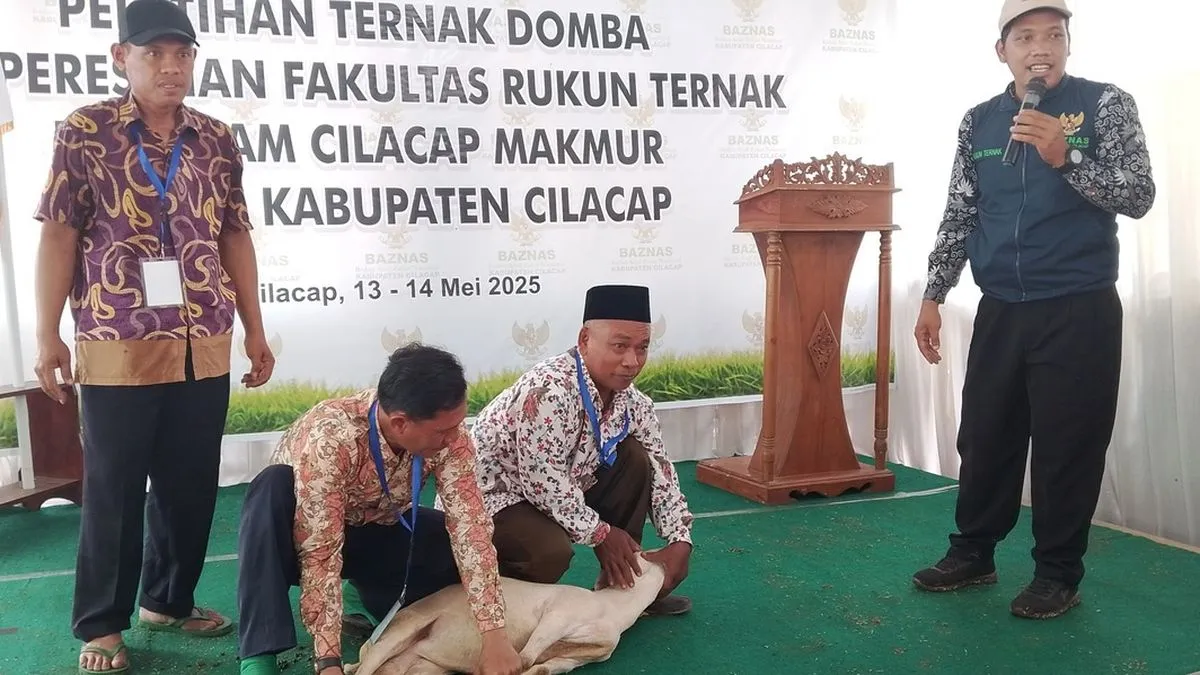 Baznas Cilacap Luncurkan Fakultas Rukun Ternak untuk Kembangkan Peternakan Domba di Desa Panisihan Maos