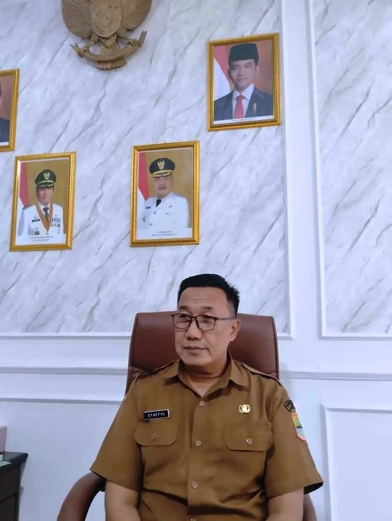 Pilkades Digital di Kabupaten Karawang: 9 Desa Siap Melaksanakan Pemilihan
