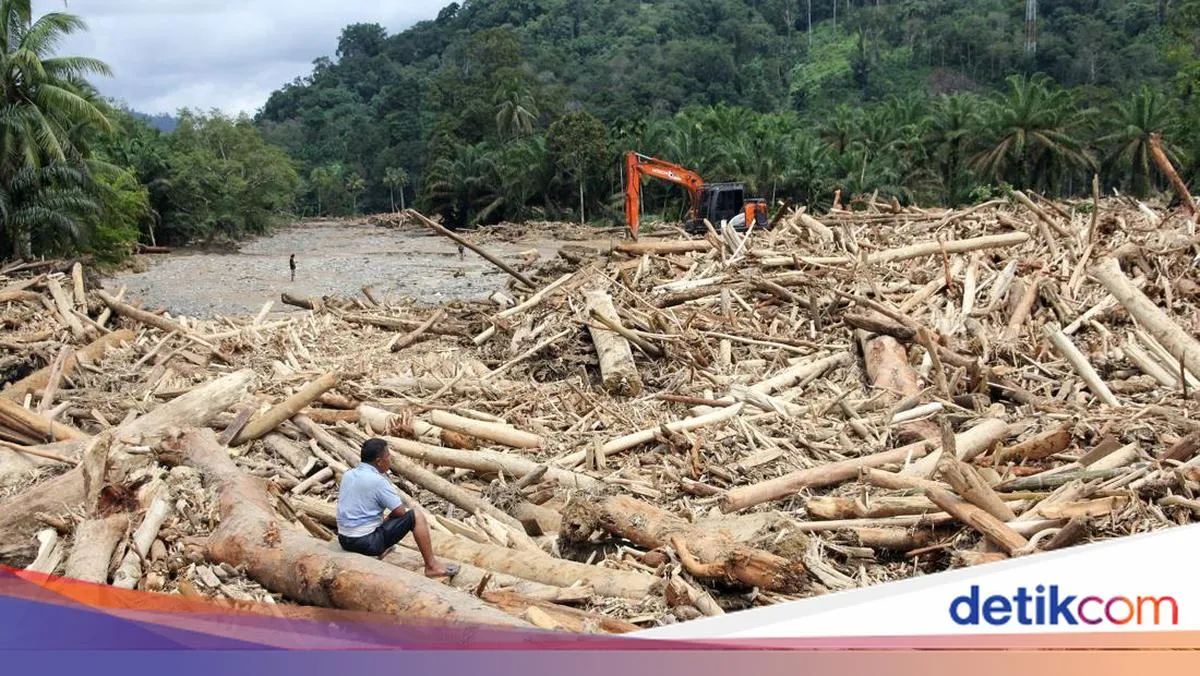 Pemerintah Pusat Selidiki Asal Gelondongan Kayu Pasca Banjir di Sumatera Utara