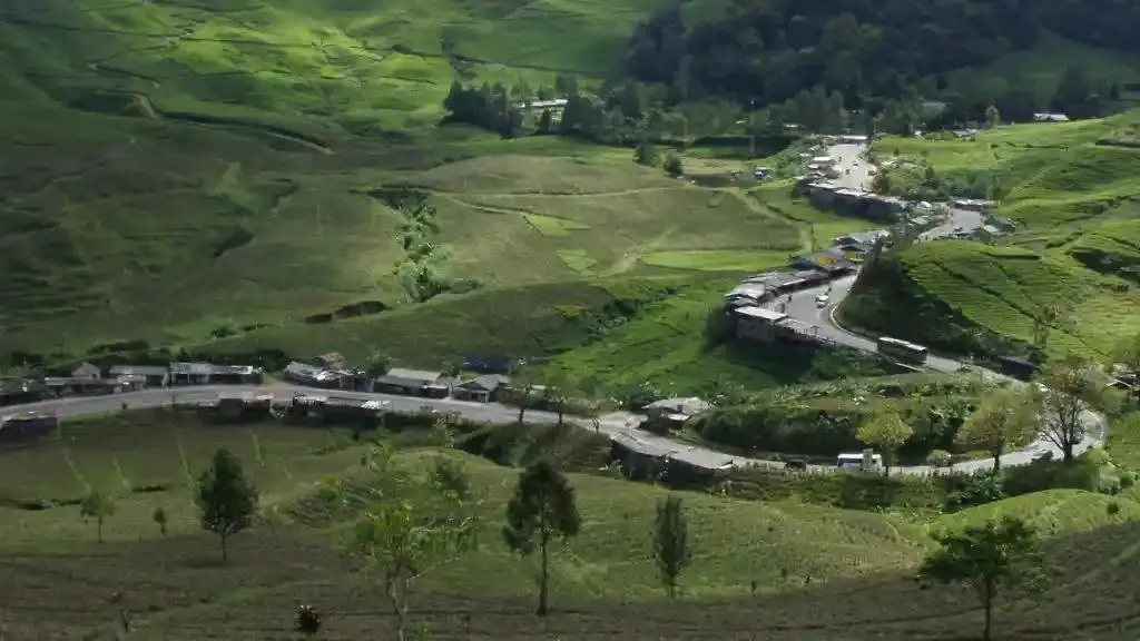 Panduan Istirahat Nyaman di Rest Area Gunung Mas Puncak Bogor