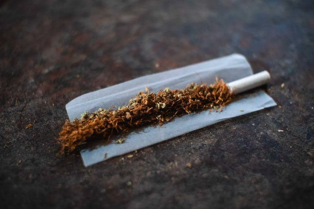 Fakta Menarik Tentang Tembakau dan Dampaknya dalam Pembuatan Rokok