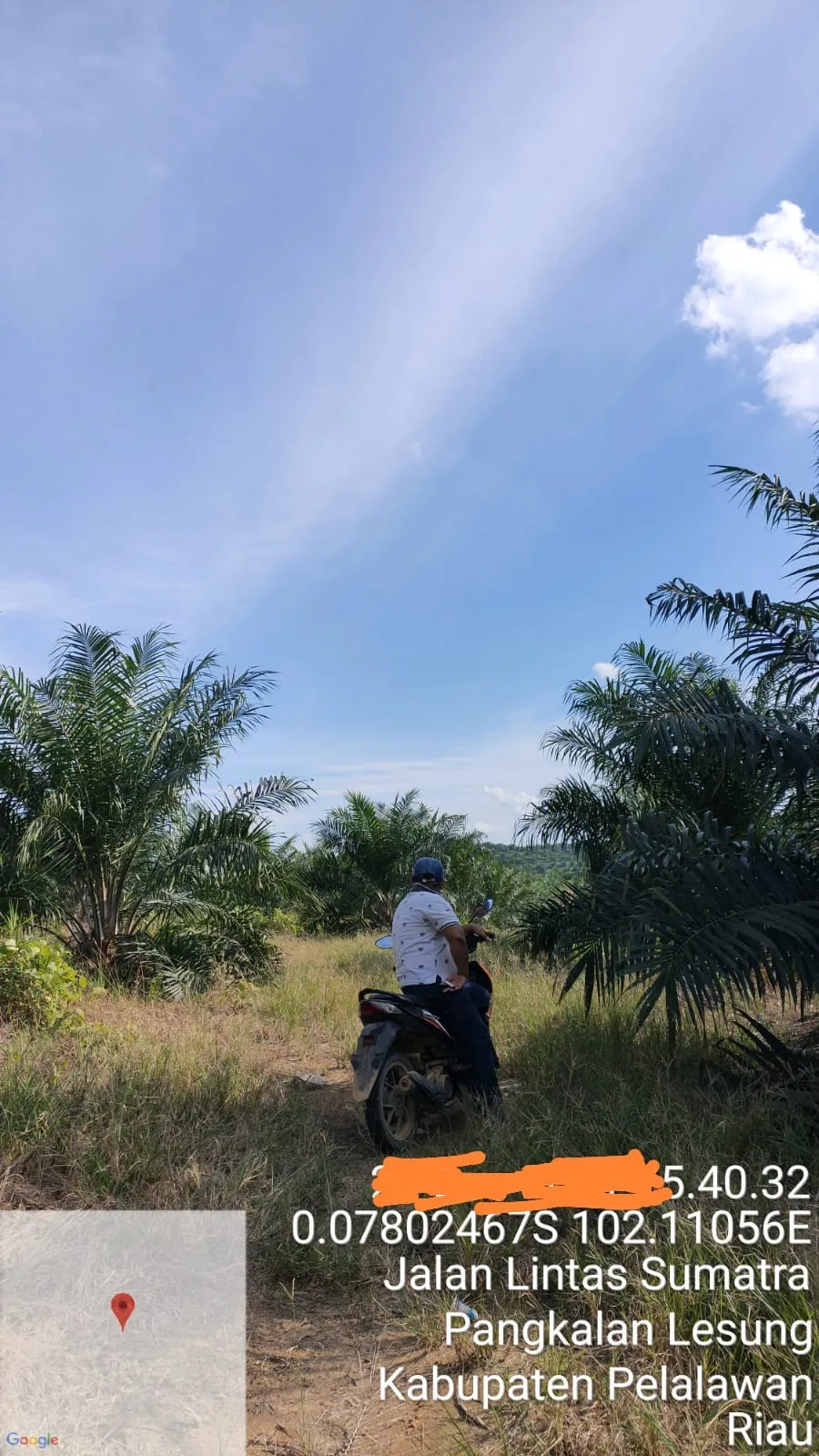 PT Musim Mas Group Diduga Menggarap Lahan Puluhan Hektar di Luar Hak Guna Usaha