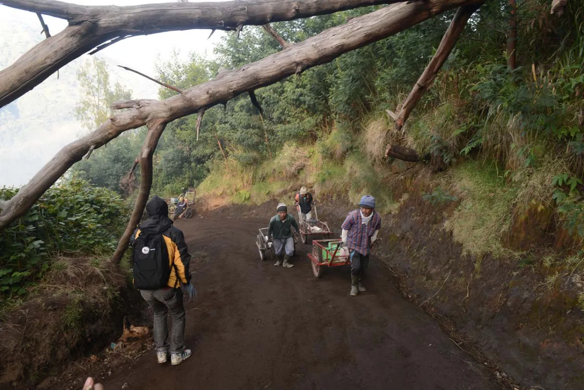 Operasi Pencarian Pendaki Hilang di Kawah Ijen Diteruskan oleh Tim SAR