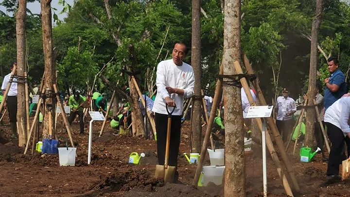 Jokowi Tegaskan Komitmen Pembangunan IKN untuk Mengurangi Ketimpangan Wilayah