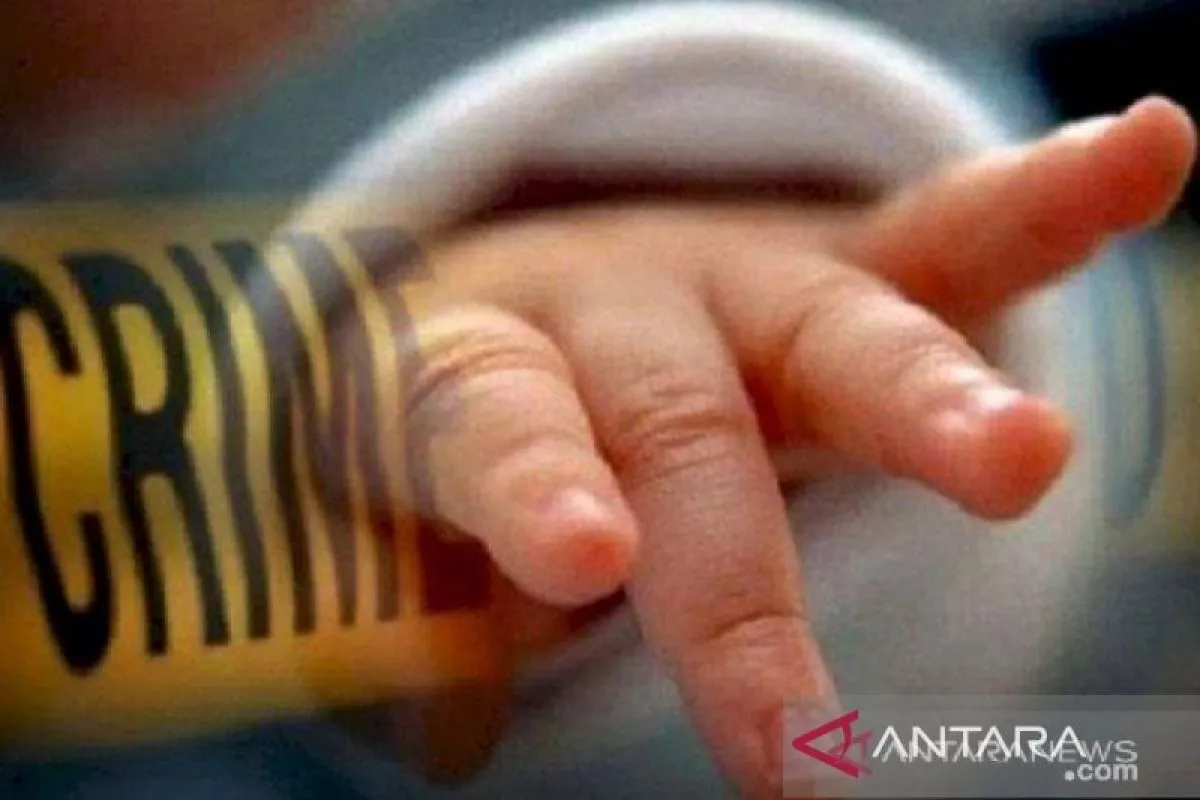 Modus Adopsi Ilegal dan Perkembangan Kasus Ijazah Palsu Jokowi
