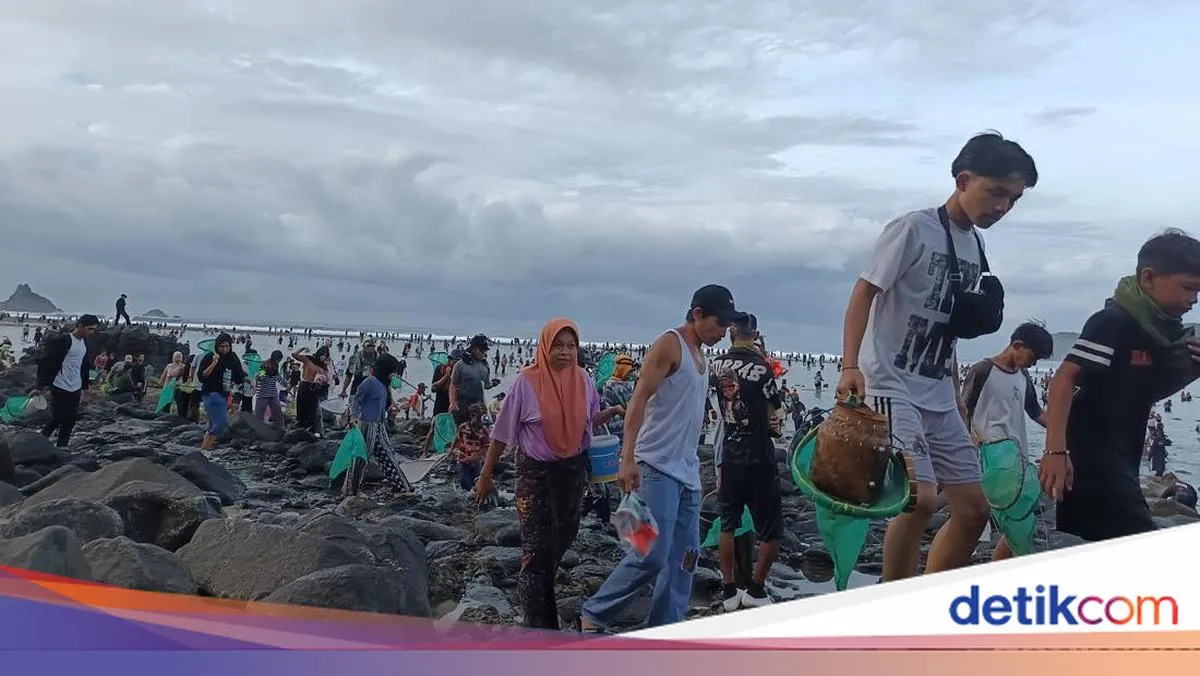 Minimnya Hasil Tangkapan Nyale di Puncak Bau Nyale 2026 Membuat Warga Lombok Kecewa