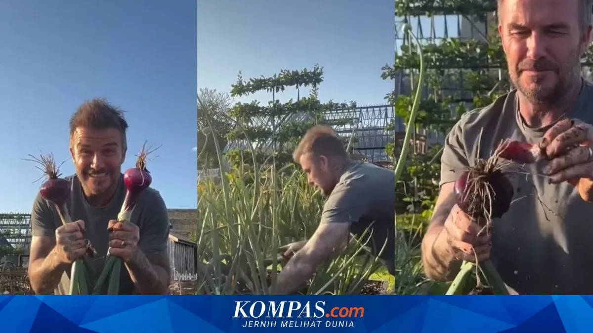 Manfaat Berkebun untuk Kesehatan Mental ala David Beckham