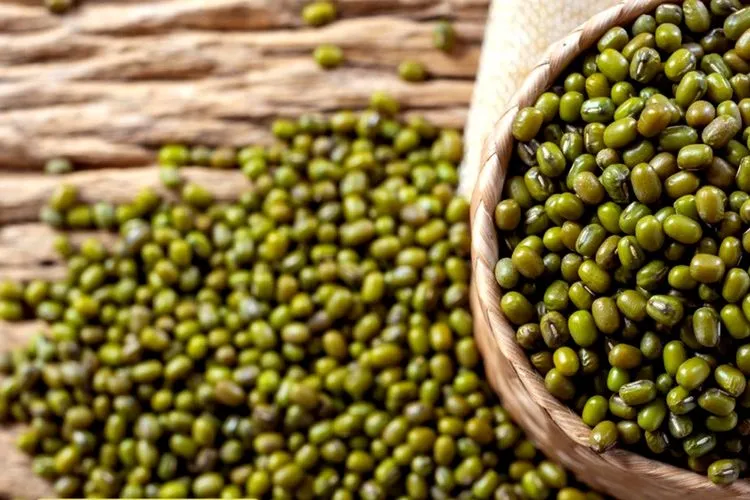 Potensi Kacang Hijau di Jawa Barat: Garut Jadi Sentra Produksi