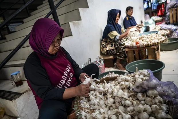 Mentan Targetkan Luas Tanam Bawang Putih di NTB Sebanyak 25.000 Hektare