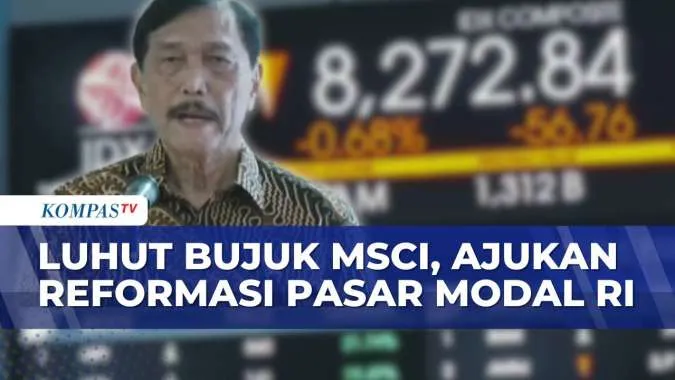 Luhut Diskusikan Reformasi Pasar Modal dengan MSCI