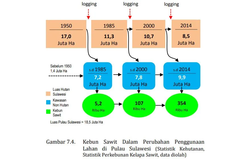 Perkebunan Sawit Bukan Penyebab Utama Konversi Hutan di Sulawesi