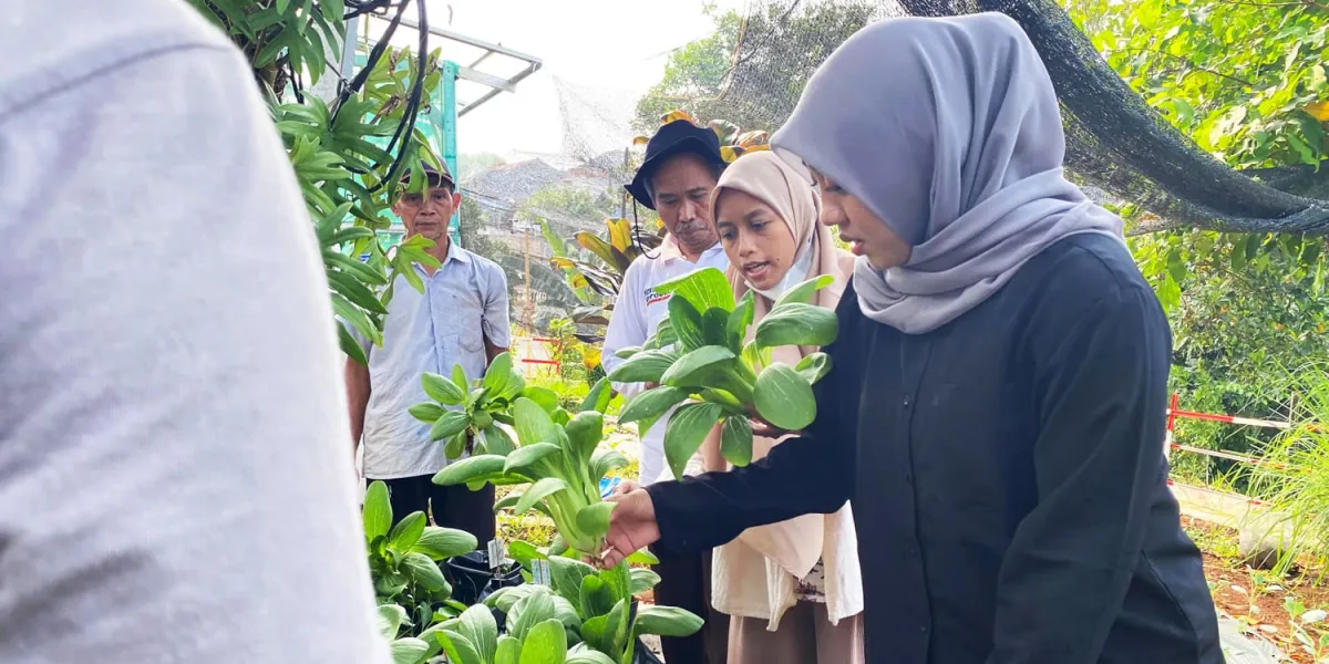 Urban Farming IPB University Turunkan Suhu dan Tingkatkan Ketahanan Pangan Perkotaan