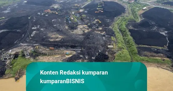 Kenaikan Harga Batu Bara dan Timah di Tengah Penurunan CPO dan Nikel