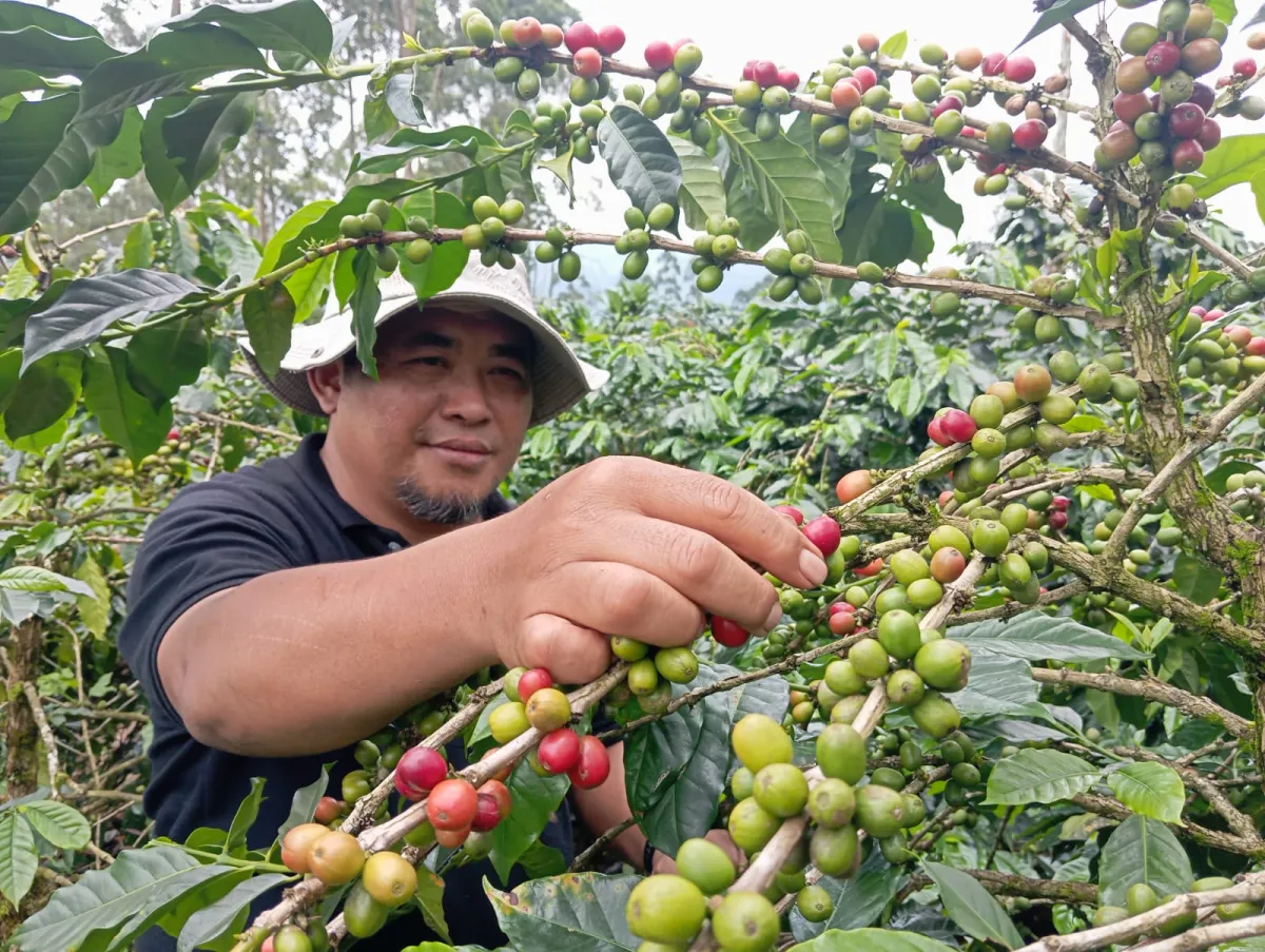 Jamkrindo Perkuat Akses Pembiayaan untuk UMKM
