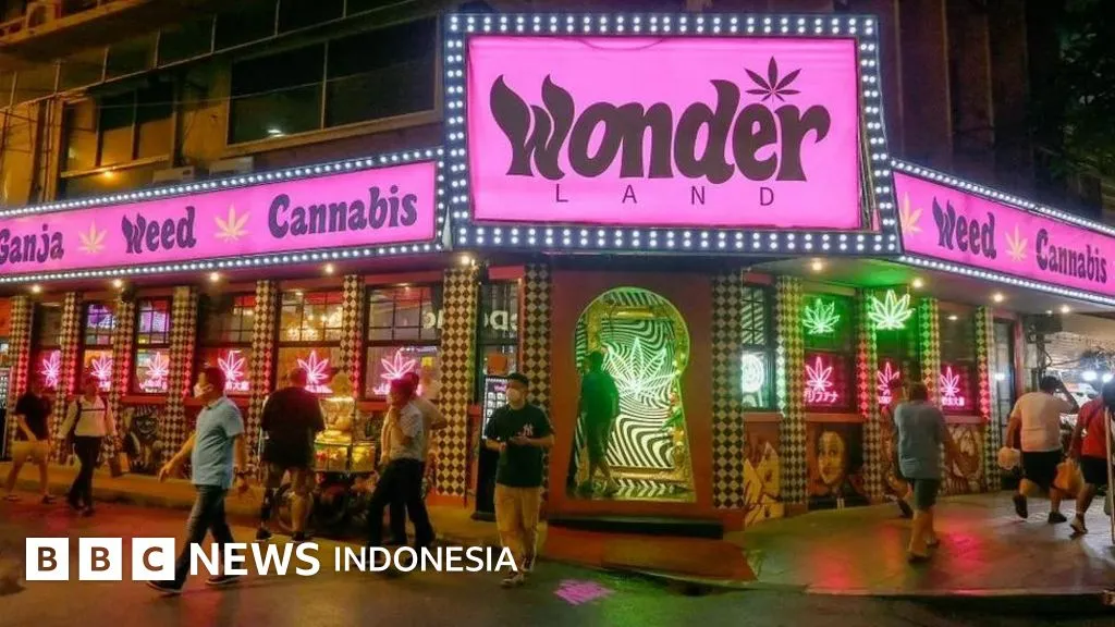 Evolusi Bisnis Ganja di Thailand: Regulasi yang Tidak Konsisten dan Tantangan Penegakan Hukum