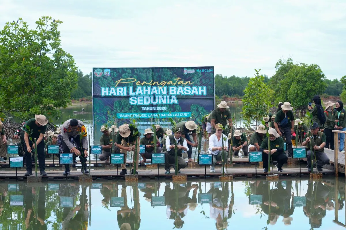 Rehabilitasi Mangrove: Investasi Berkelanjutan untuk Ekonomi Pesisir