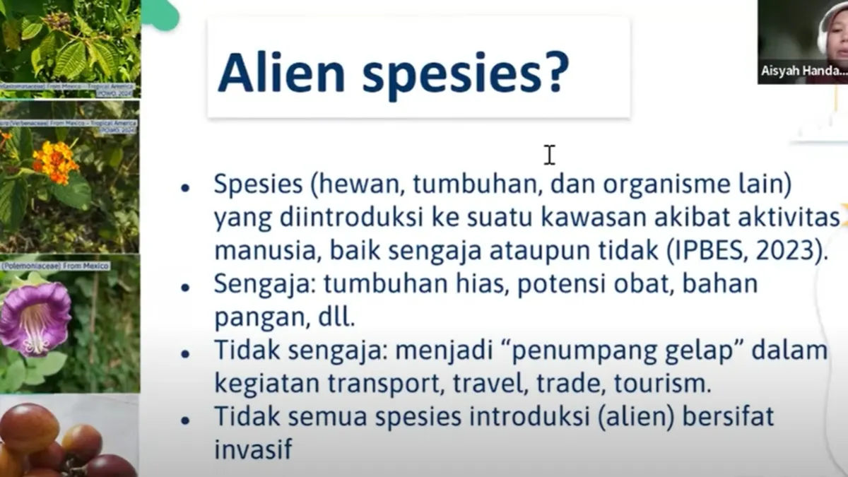Kesadaran Terhadap Spesies Invasif Asing di Indonesia Masih Rendah