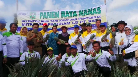 Bupati Siak Optimis Desa Penyengat Menjadi Pusat Komoditas Nenas