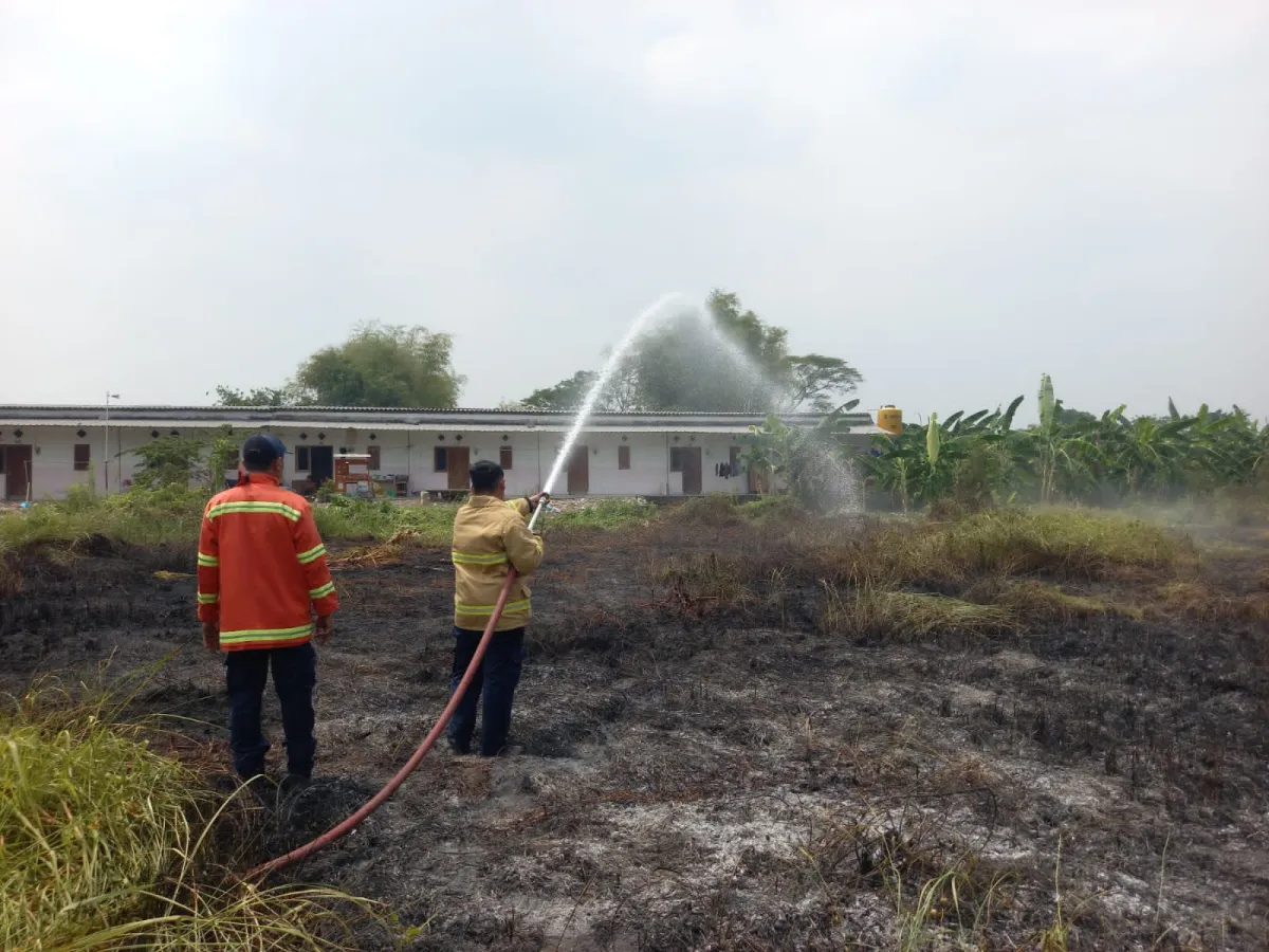 Kebakaran Lahan Kosong di Wringinanom Gresik Diduga Akibat Pembakaran Sampah