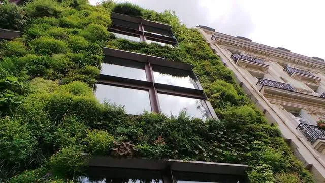 Gaya Hidup Eco-Friendly dan Minimalisme Digital Semakin Populer di 2024