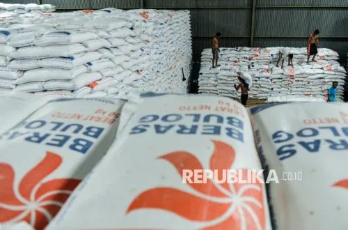 Kolaborasi Bulog dan BRIN Cegah Hama Beras dengan Teknologi Baru