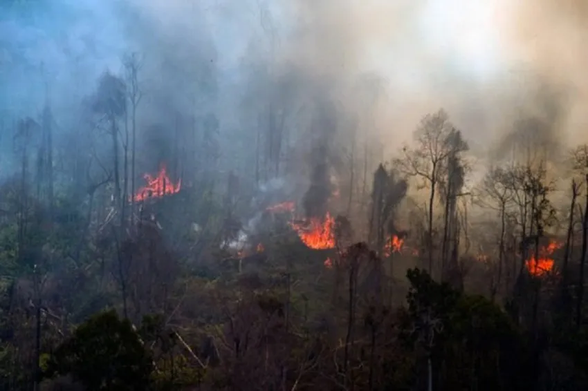 DPR Soroti Penanganan Karhutla di Parigi Moutong