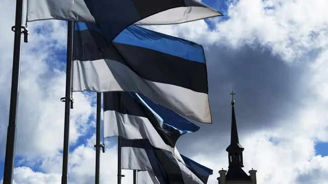 Krisis Kayu Bakar Melanda Estonia di Musim Dingin Ekstrem