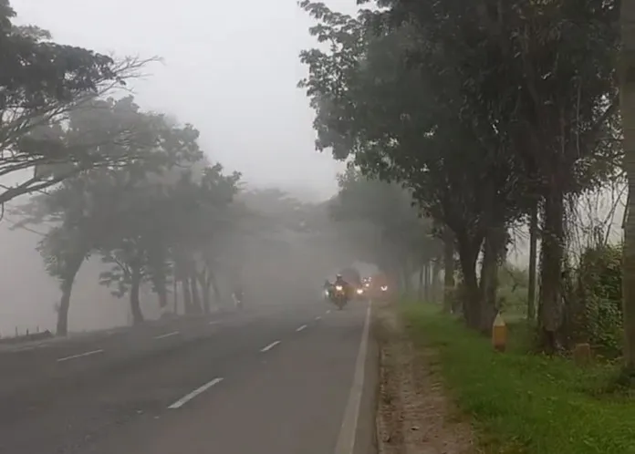 Fenomena Kabut Tebal Menghiasi Pagi Hari di Tuban