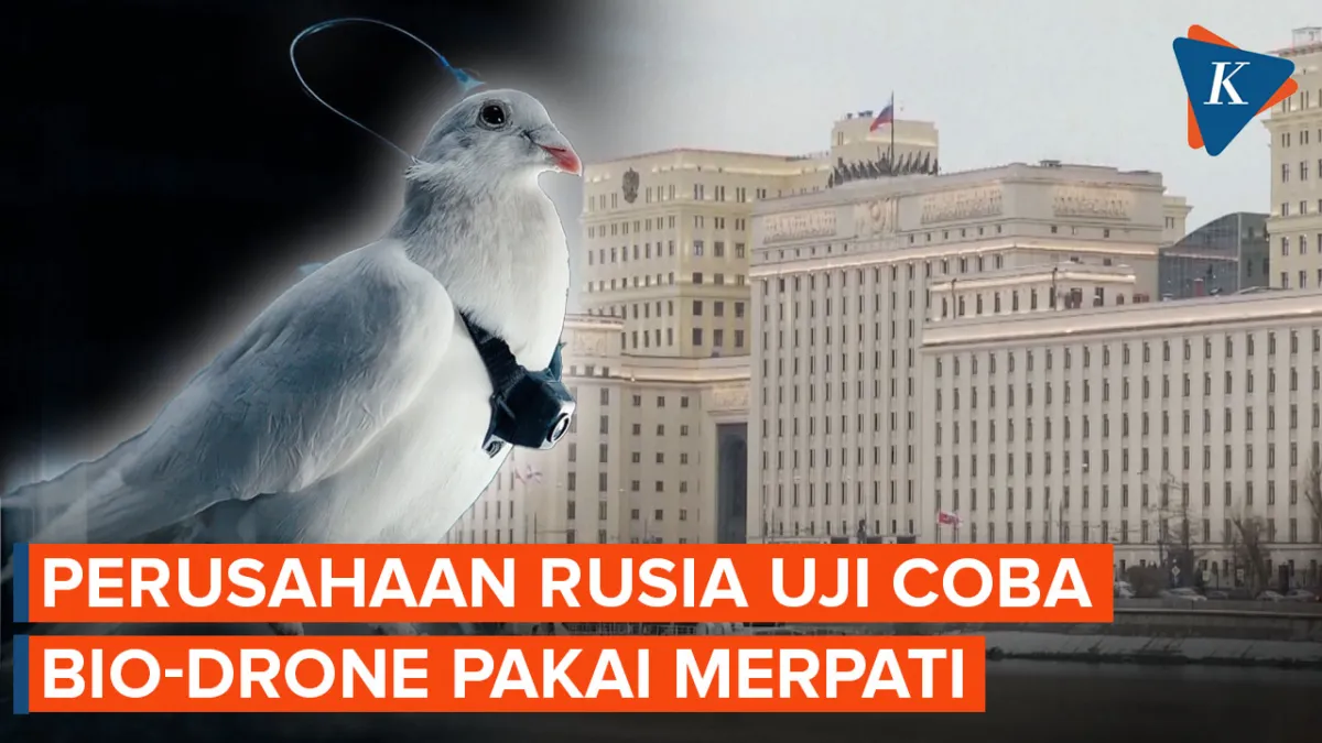 Proyek Bio-Drone Rusia Gunakan Merpati Hidup Picu Kontroversi Etika