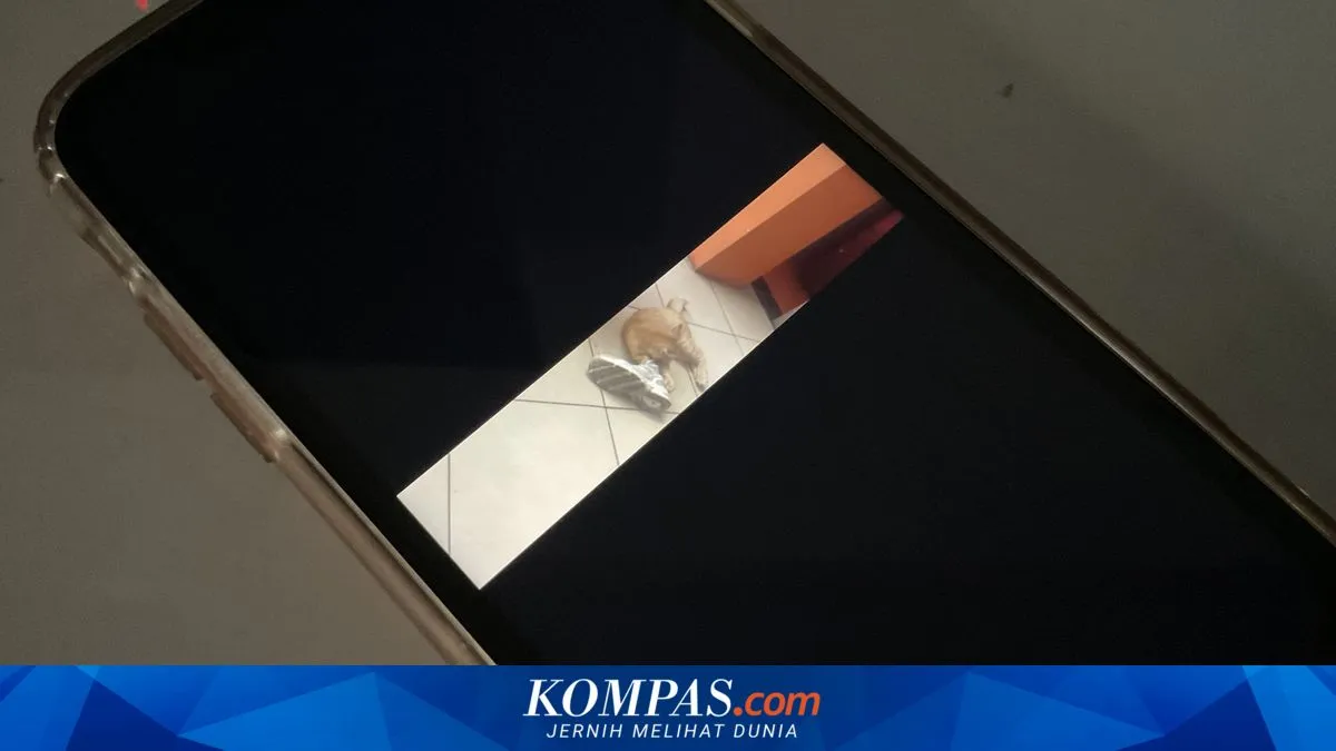Konten Kreator Garut Alami Intimidasi Keluarga Kades Usai Unggah Video Jalan Rusak