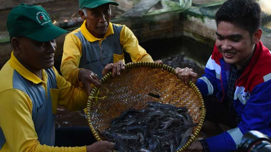 Kilang Dumai Luncurkan Program Bedelau Minapolitan untuk Pemberdayaan Masyarakat