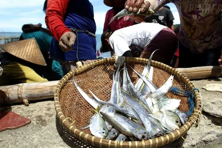 Menikmati Ikan Segar di Pantai Pangandaran bagi Wisatawan