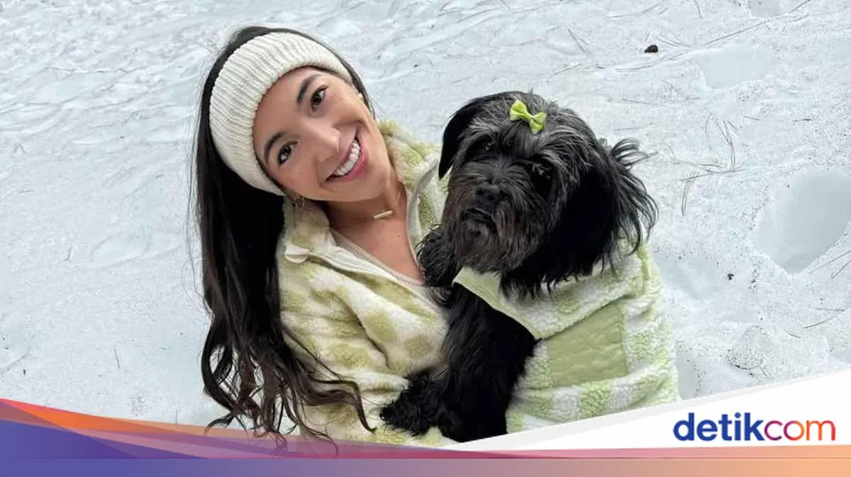 Kontroversi Influencer Mengawetkan Anjing yang Meninggal