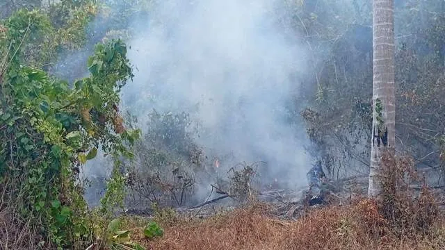 Komnas HAM Sulteng: Karhutla Ancaman Terhadap Hak Dasar Masyarakat