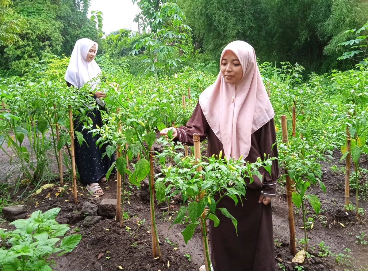 Inisiatif Diet Sampah di Ponpes Shafiyah Banyuwangi